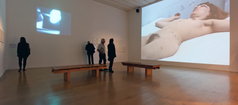 Musée d’art contemporain de Lyon : qui pour prendre la direction ?