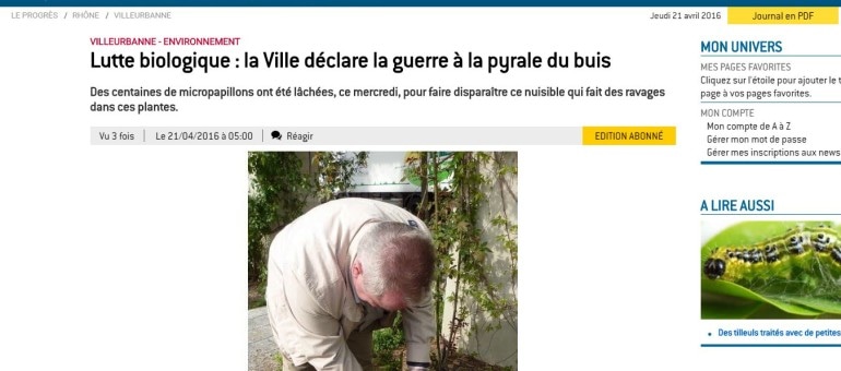 A Villeurbanne, un lâcher de papillons plutôt que des pesticides