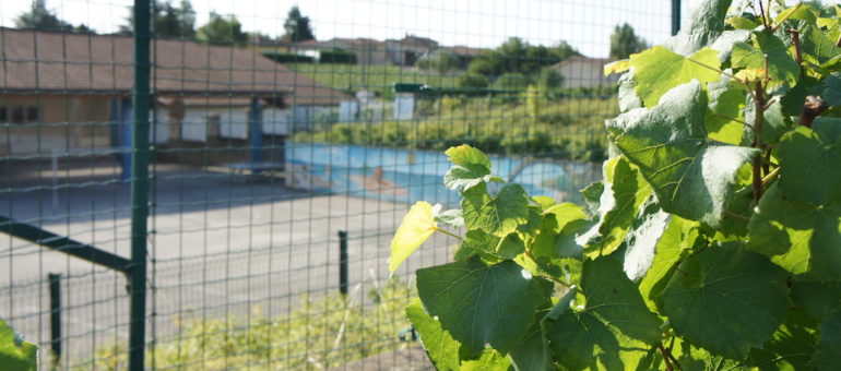 Pesticides : les riverains des zones agricoles encore sacrifiés dans le Rhône