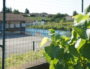 L'école de Viré a été construite au milieu des vignes qui jouxtent notamment la cour d'école. ©LB/Rue89Lyon