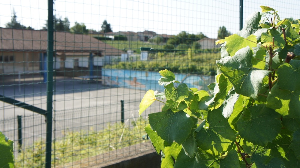 L'école de Viré a été construite au milieu des vignes qui jouxtent notamment la cour d'école. ©LB/Rue89Lyon