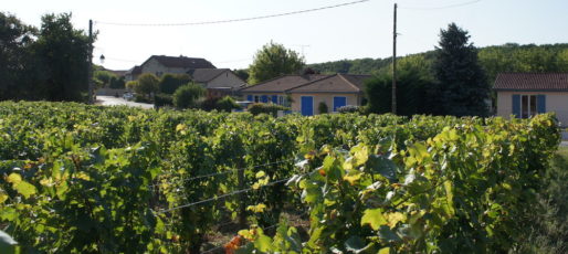 Une partie de l'extension du village de Clessé s'est faite au milieu des vignes. ©LB/Rue89Lyon