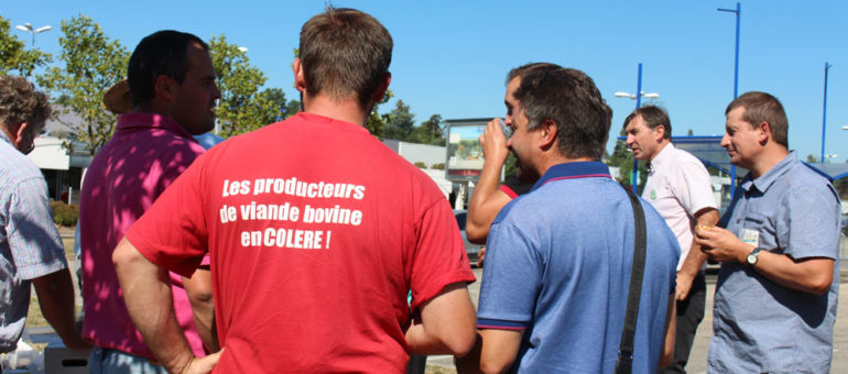 Les éleveurs bovins appellent à boycotter Carrefour : « Achetez votre viande ailleurs ! »