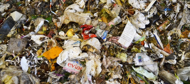 Plongée dans les poubelles grenobloises (1/3) : « Tout le système est à revoir »