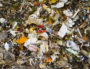 Plongée dans les poubelles grenobloises (1/3) : « Tout le système est à revoir »