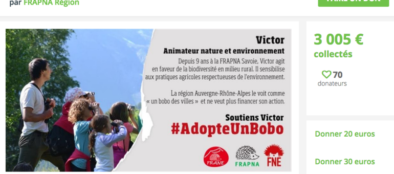 « Adopte un bobo », la collecte de fonds d’une asso dégraissée par Laurent Wauquiez