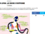 Libé plonge dans les affiches de la scène musicale alternative de Lyon