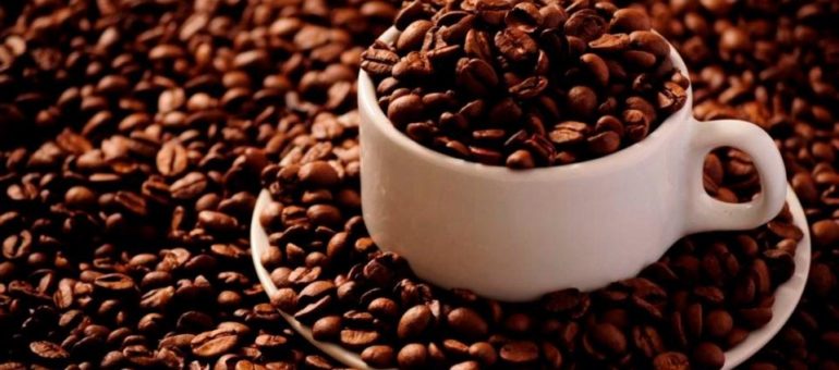 A Lyon, les nouveaux torréfacteurs veillent aux grains