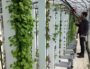 Les fermes urbaines : cultiver à la verticale pour nourrir Lyon ?