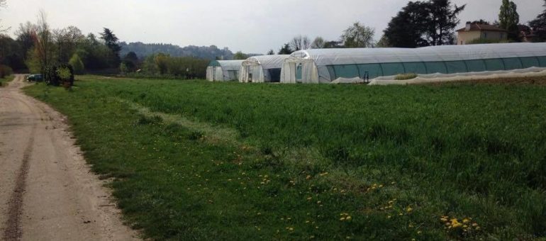 A Lyon, une agriculture aux portes de la ville est-elle possible ?