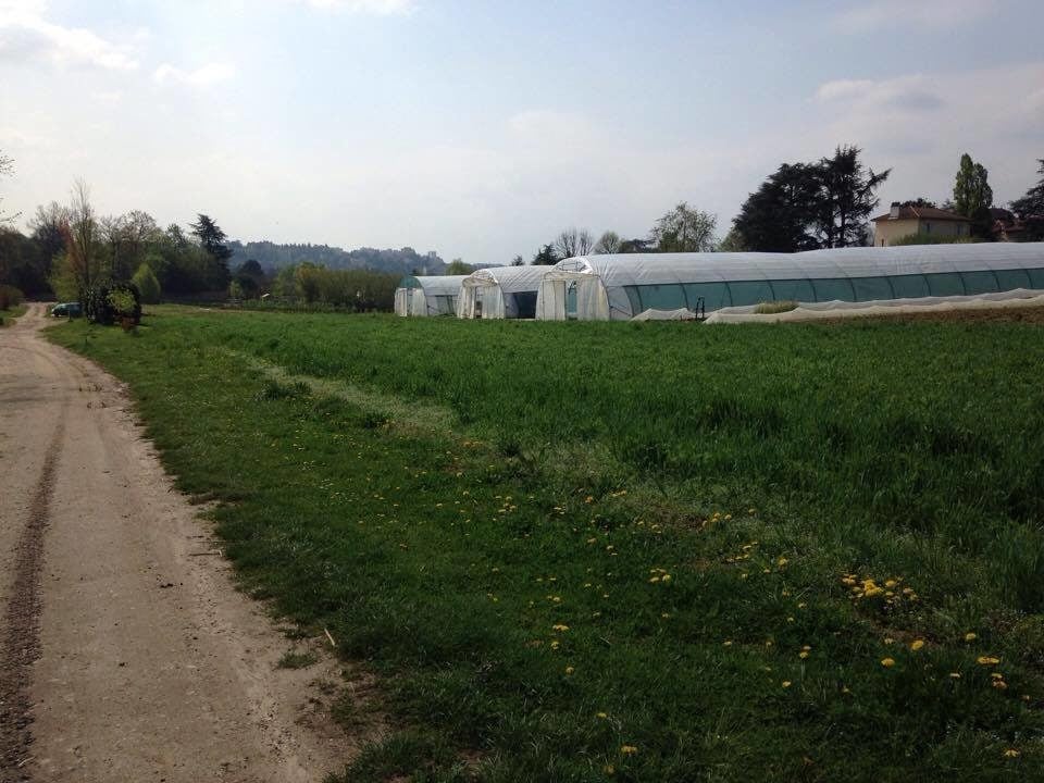 A Lyon, une agriculture aux portes de la ville est-elle possible ?