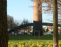 La Graine et le Bitume, quand la nature reprend ses droits à Villeurbanne