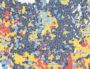 Capture de la carte des candidats arrivés en tête dans les communes d'Auvergne-Rhône-Alpes