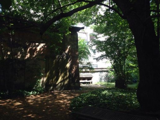 Parc de la villa Monoyer composé d'arbres imposants, dans le 3ème arr. de Lyon