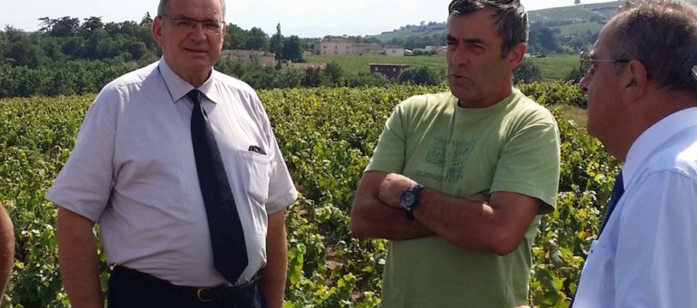 Au cœur du Beaujolais, la République en marche et le FN à l’assaut de la dynastie des Perrut