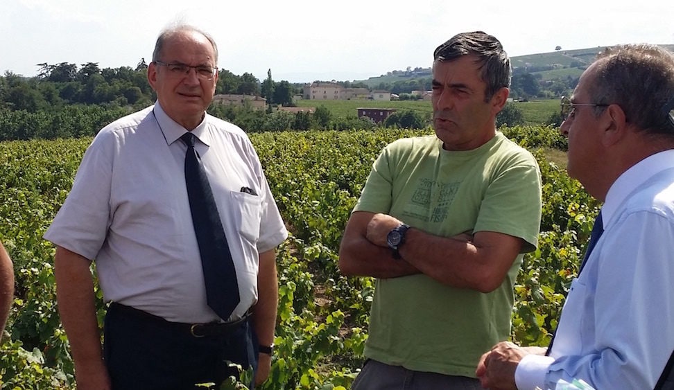 Bernard Perrut, député-maire de Villefranche-sur-Saône le 31 août 2016 dans les vignes de Villié-Morgon. ©LB/Rue89Lyon