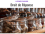 Du rhum et du n'imp', à la Première Plantation (Lyon 6e).