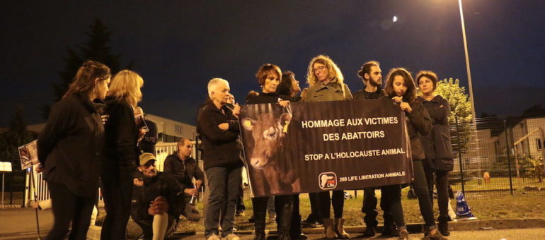 [Vidéo] Pour l’association « 269Life libération animale », la désobéissance civile est-elle une stratégie payante ?