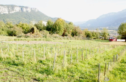 La propriété de Sébastien Bénard