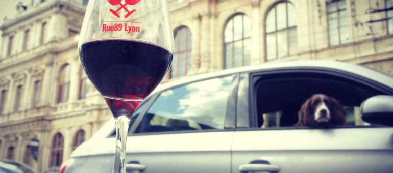 5 raisons de venir au salon des vins « Sous les pavés la vigne » à Lyon