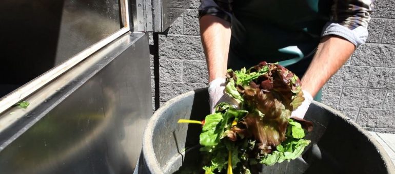 Gestion des biodéchets sur les marchés alimentaires : Lyon en dehors des clous