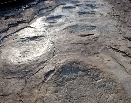« Quand on montre des empreintes de dinosaure, il y a toujours des gens très sceptiques »