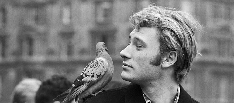 De drôles de reprises de Jonnhy Hallyday, dénichées par Harry Cover