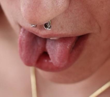 Voici un exemple de "tongue splitting". Les deux bouts de la langue sont totalement indépendante. ©CC/ Wikipédia 