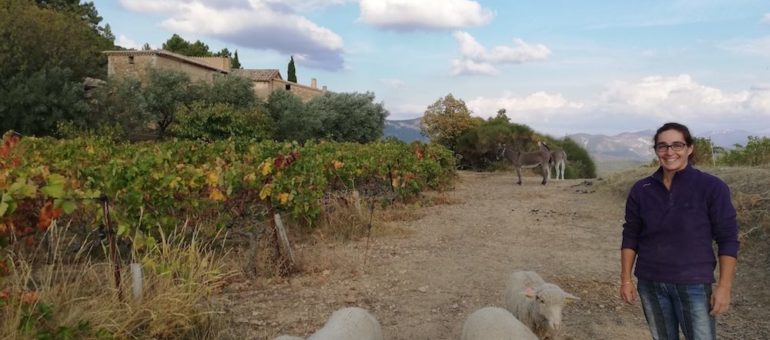 Face au dérèglement climatique, les options éthiques de vignerons dans le Sud de la France