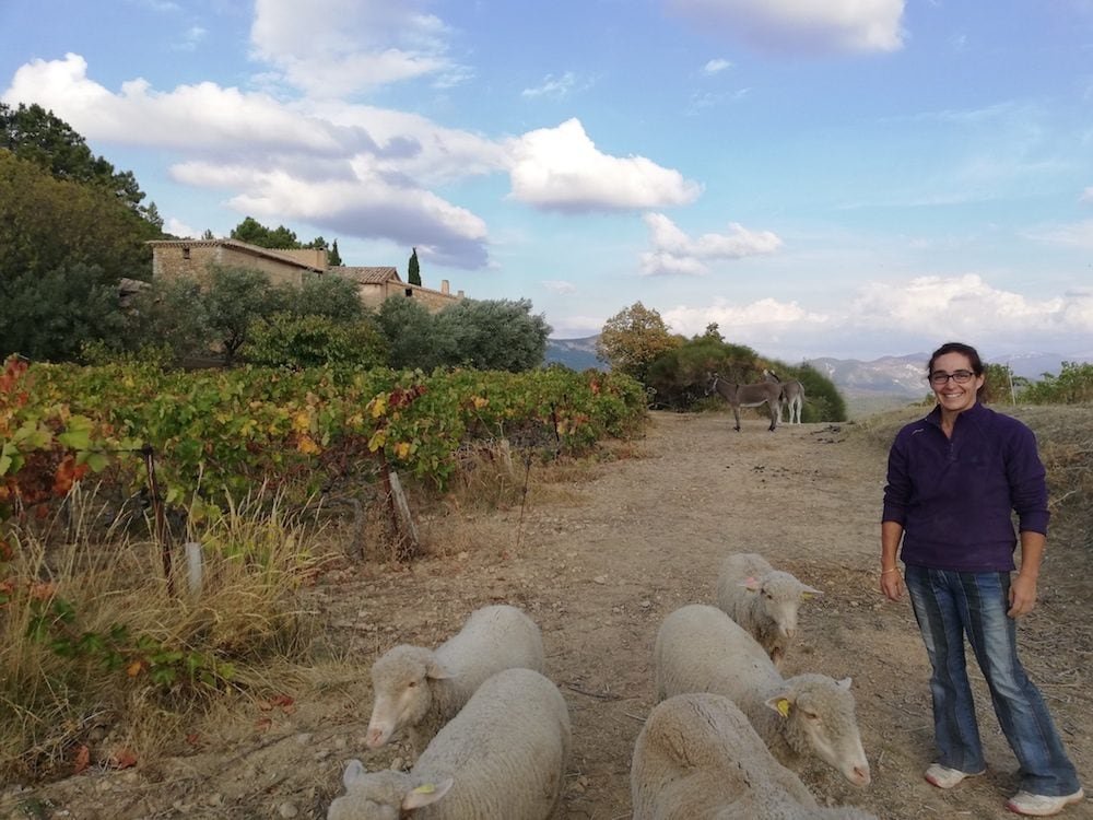 Elodie Aubert du Clos des Cimes en compagnie de ses moutons et ânes. ©FD/Rue89Lyon