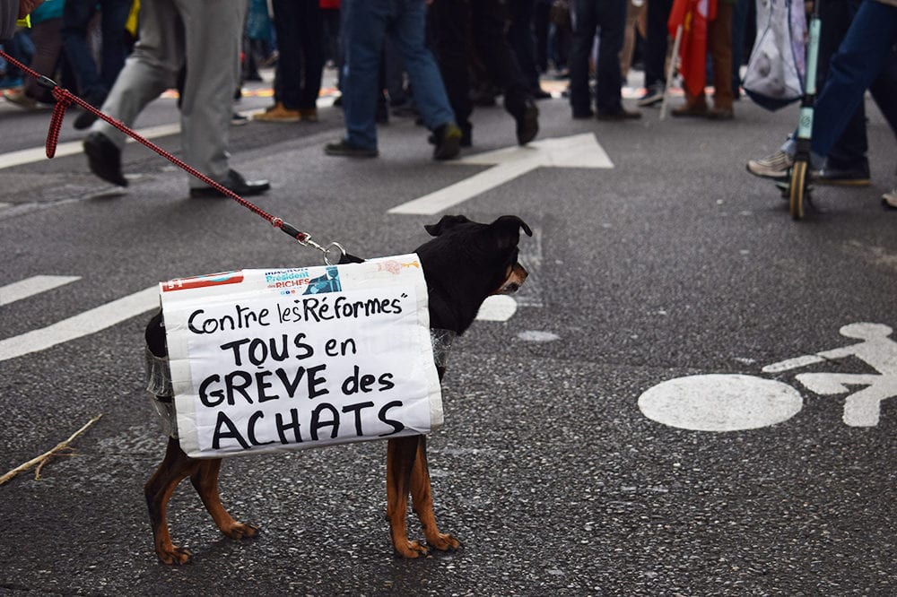 À Lyon, Le chien de tête de cortège. @AD/Rue89Lyon