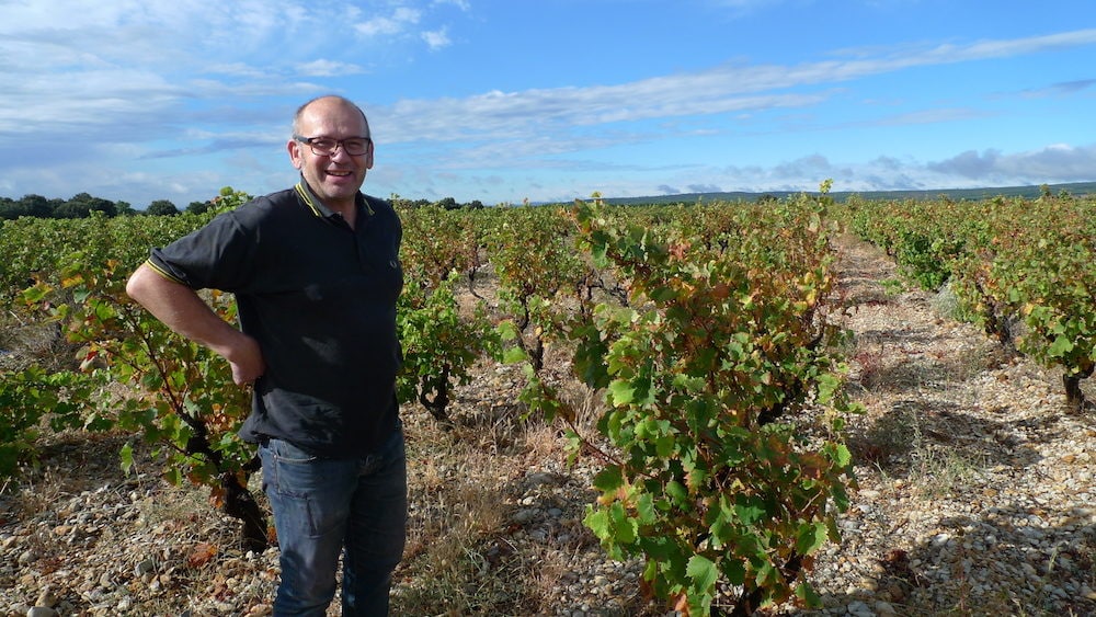 Olivier Trombetta du Cri de l'araignée au milieu de vignes taillées en gobelet. ©FD/Rue89Lyon