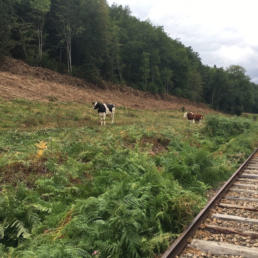 Le vélorail à Ambert, en Auvergne. ©Rue89Lyon