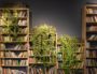Des plantes et une bibliothèque ©Paweł Czerwiński
