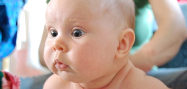 Pour l’association Démographie Responsable, « les naissances doivent être stabilisées à moins de deux enfants par femme »