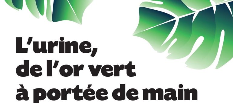 Et si on utilisait l’urine comme engrais naturel ?