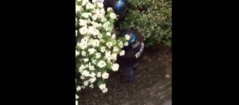 « Gilets jaunes » à Lyon : les vidéos des coups de matraque de la BAC dans une résidence privée