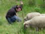 Bastien Boyer en compagnie du moutons Garance, la mascotte. ©NP/Rue89Lyon.