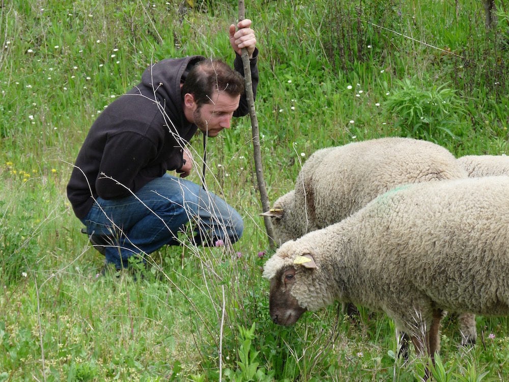 Bastien Boyer en compagnie du moutons Garance, la mascotte. ©NP/Rue89Lyon.