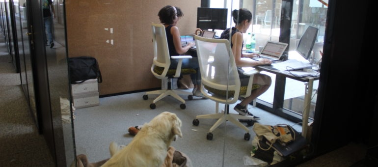 « J’ai des collègues sans vraiment en avoir » : le coworking contre l’isolement
