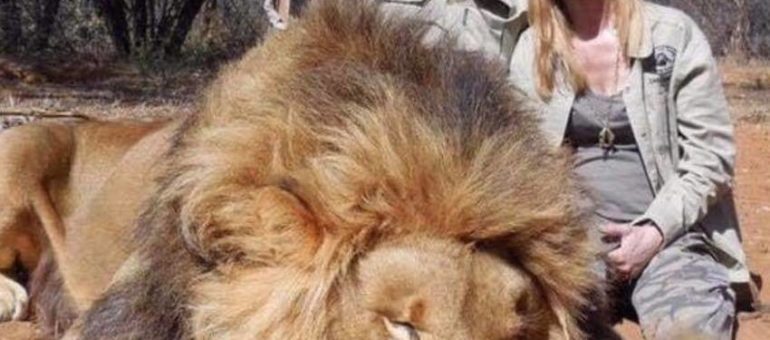 Les gérants d’un Super U quittent leur emploi après le bad buzz autour de leur chasse safari