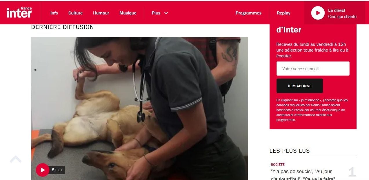 tudiants vétérinaires animaux SDF-émission France inter