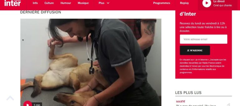 A Lyon, des étudiants vétérinaires soignent bénévolement les chiens des sans-abri