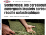 Sécheresse : bientôt la fin de l’agriculture en Auvergne ?