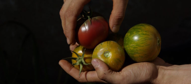 « Préserver la qualité et la diversité de notre alimentation, un défi » en débat à Lyon
