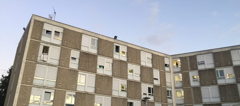À la résidence Mermoz, des étudiants en lutte contre les cafards et punaises de lit