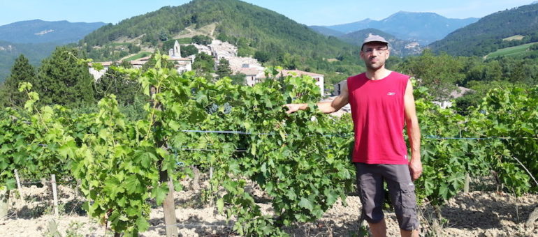 Achard-Vincent, pionnier de la biodynamie dans la clairette de Die
