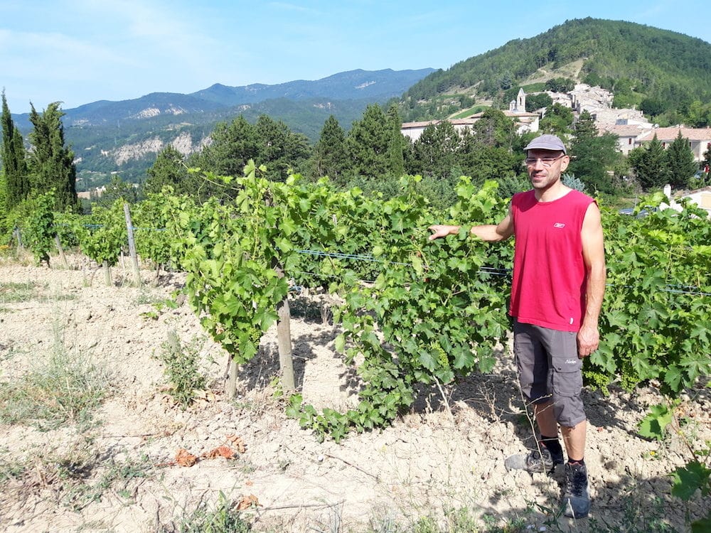 Thomas Achard, au milieu des vignes de son domaine, Achard-Vincent. ©LB/Rue89Lyon