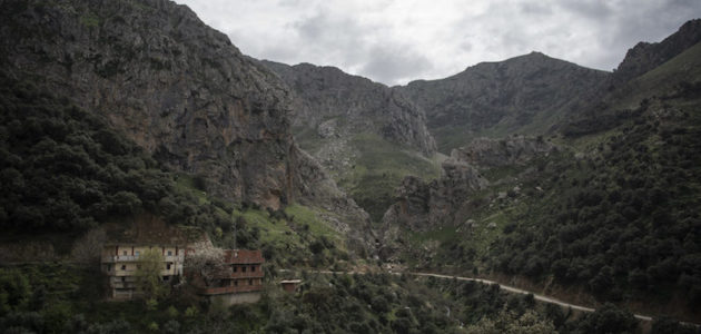 « Depuis l’Algérie, je ne peux pas rejoindre Lyon et je me sens abandonné »