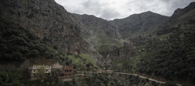 « Depuis l’Algérie, je ne peux pas rejoindre Lyon et je me sens abandonné »